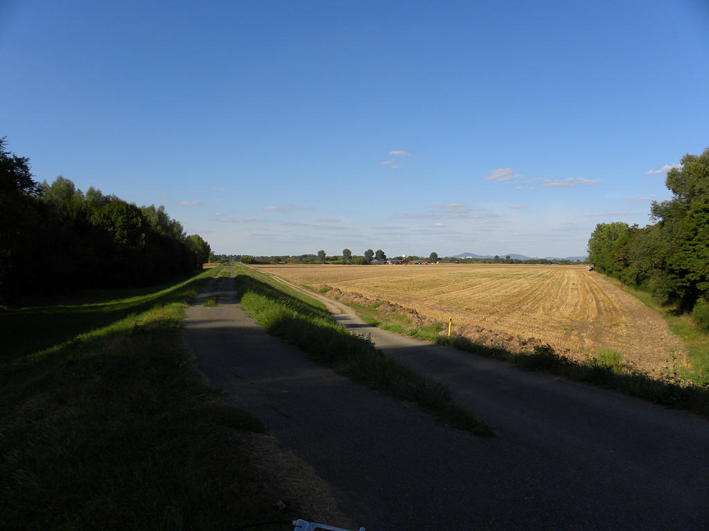 Radweg in Richtung Lampertheim